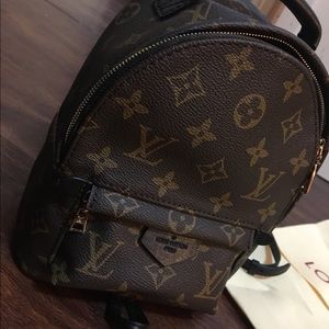 Louis Vuitton Palm Backpack
